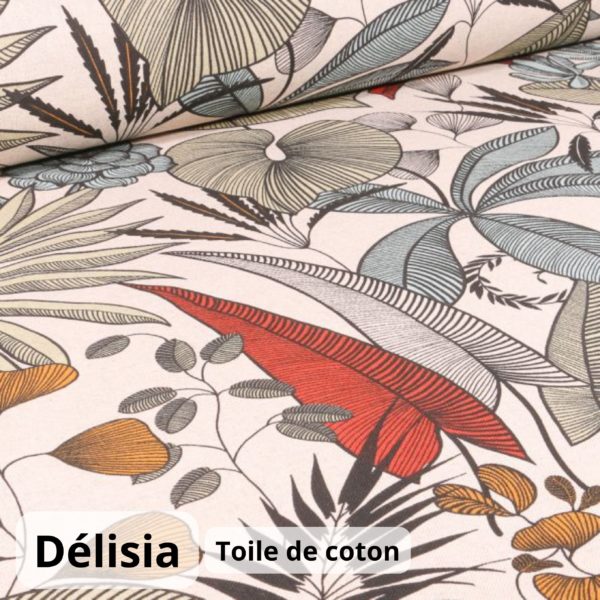 Délisia