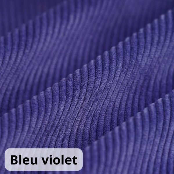 Bleu violet